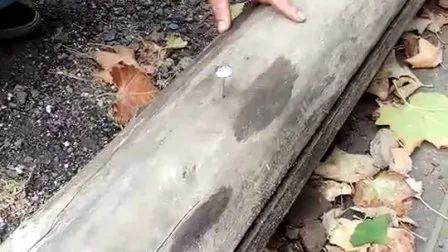 3" Umbrella Head Roofing Nails